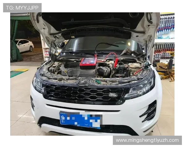 路虎线上娱乐：专业技术讲解与车辆维护知识全面解析